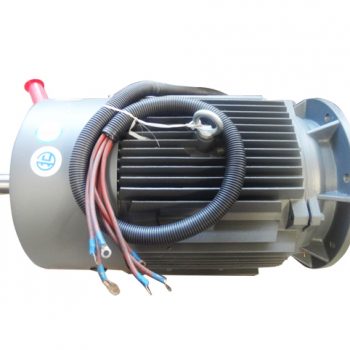 Motor elétrico (45 kW)